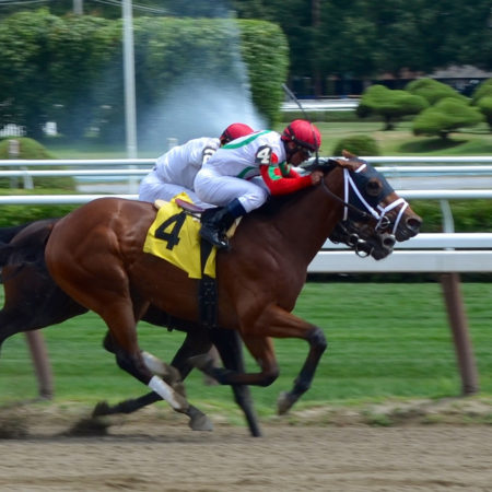Horse Racing