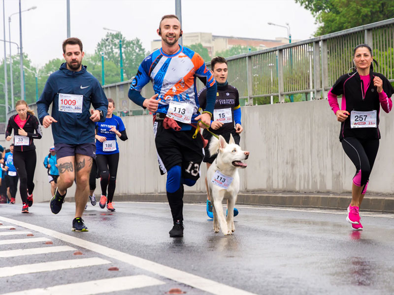 Marathon Running - Participation Sports