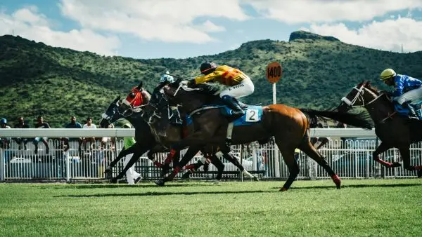 Durban July Packages