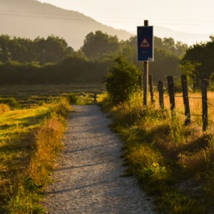 Portuguese Camino de Santiago