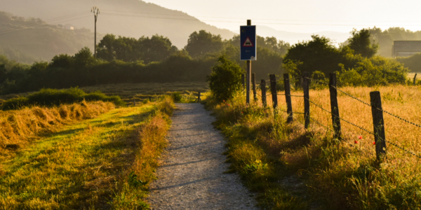 Portuguese Camino de Santiago